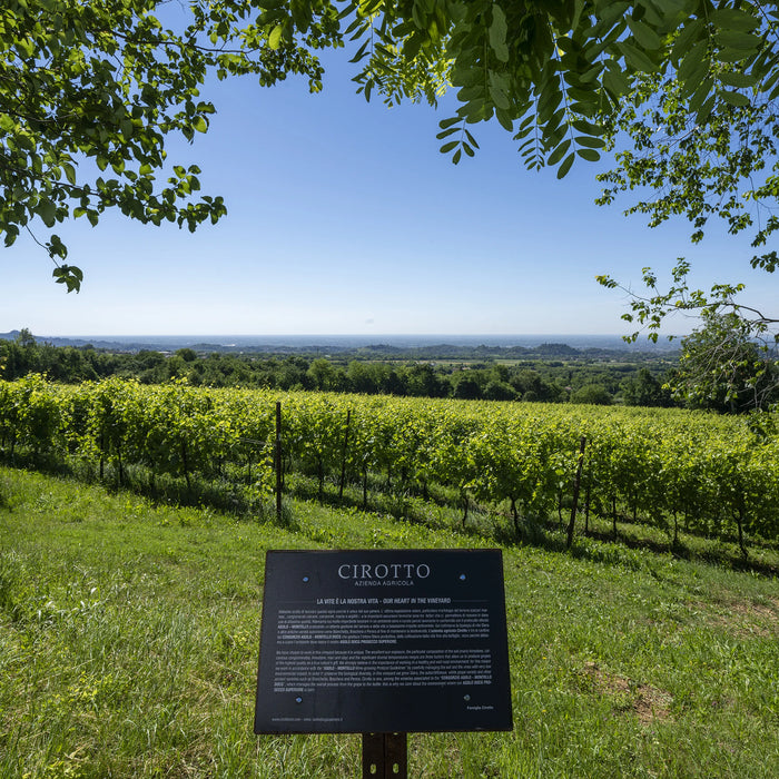 Rosè Spumante Brut  -  Cirotto - vaigustando