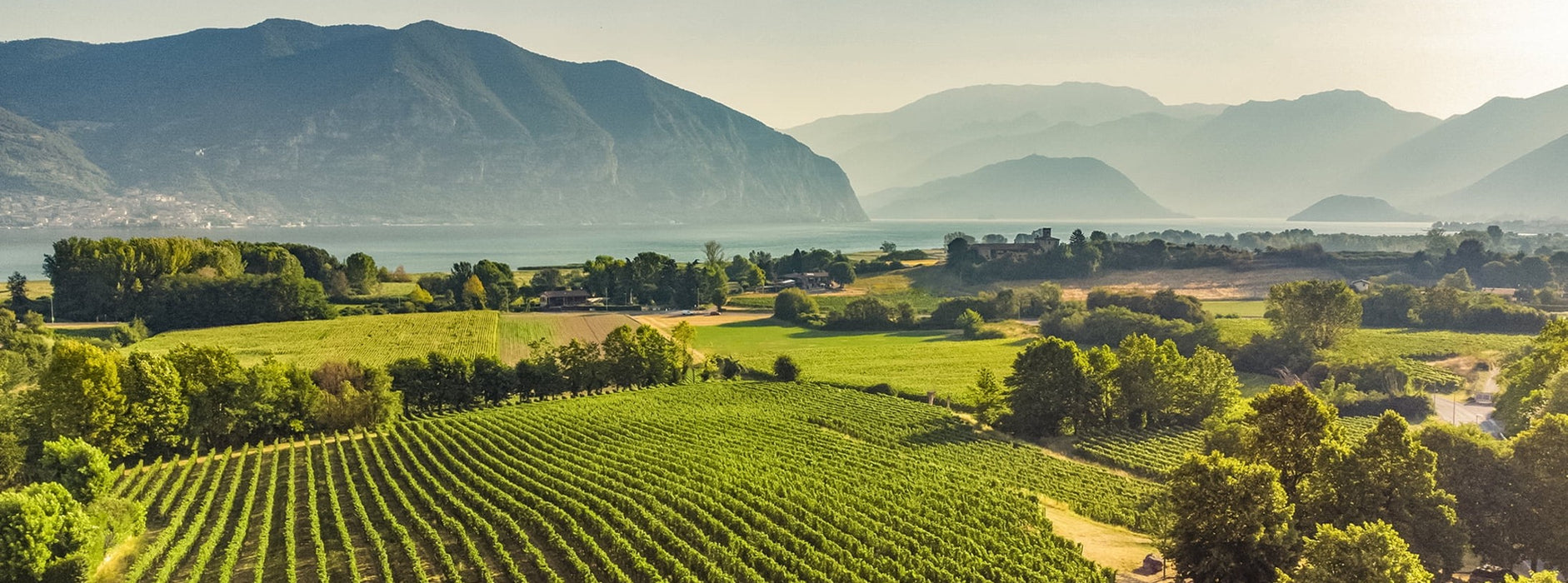 Muratori Franciacorta D.O.C.G. Cisiolo Blanc de Noirs dosaggio zero